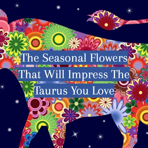 The Seasonal Flowers That Will Impress The Taurus You Love - Flora Queen
