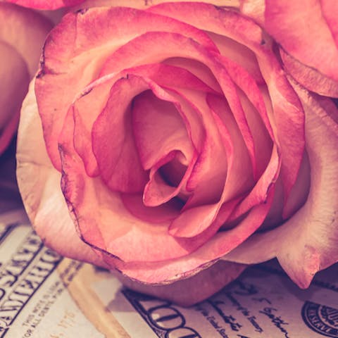 Why Do People Pay a Premium Price for Flowers? - Flora Queen