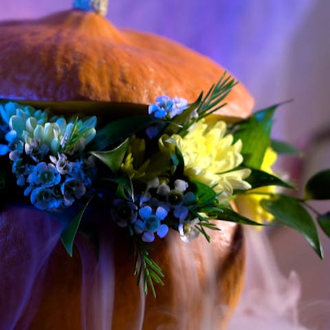 6 Terrifying Plants for Halloween - Flora Queen