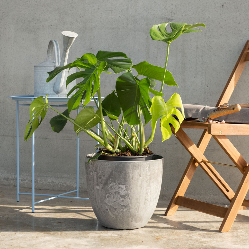 Flower/Plant Pot CM200255L Flora Queen Flora Queen