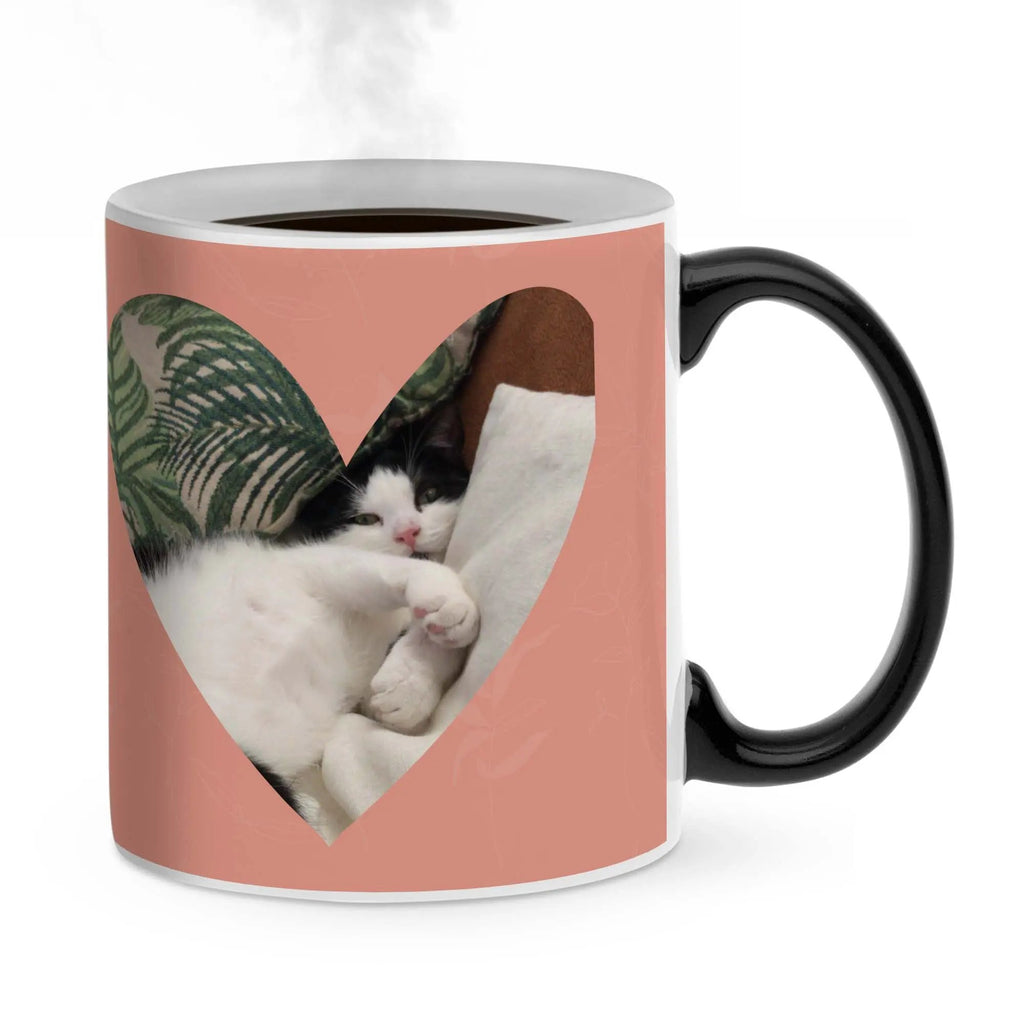 62c4af8a9c29ba830f224352b99c5ca3