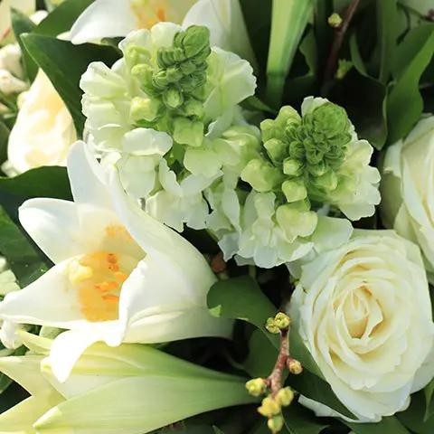 Eternal Memories Flora Queen