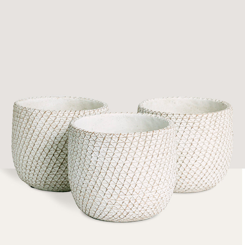 Trio maceteros Venice - S /12cm Flora Queen Flora Queen