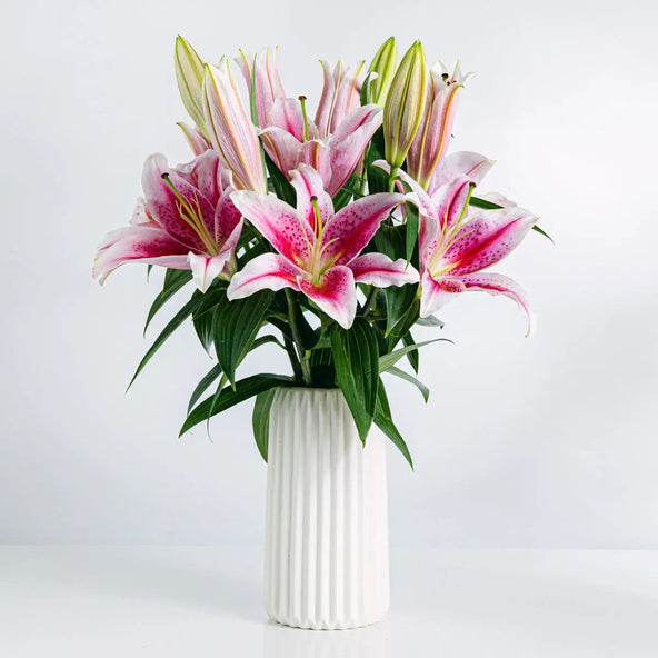 Better Together Flora Queen Flora Queen
