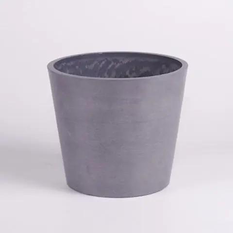 Amsterdam -  15 cm Flora Queen Flora Queen