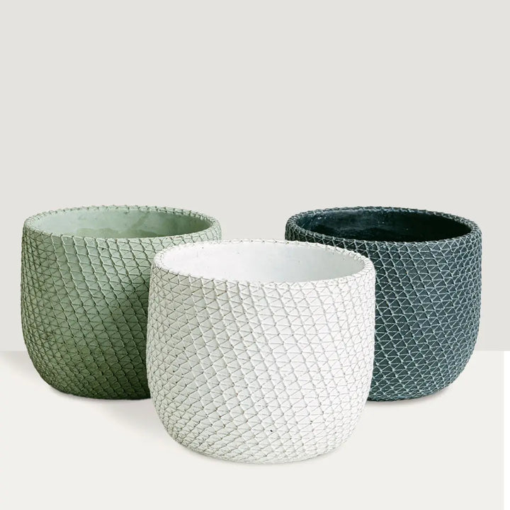 Flower/Plant Pot BG40257 Flora Queen Flora Queen