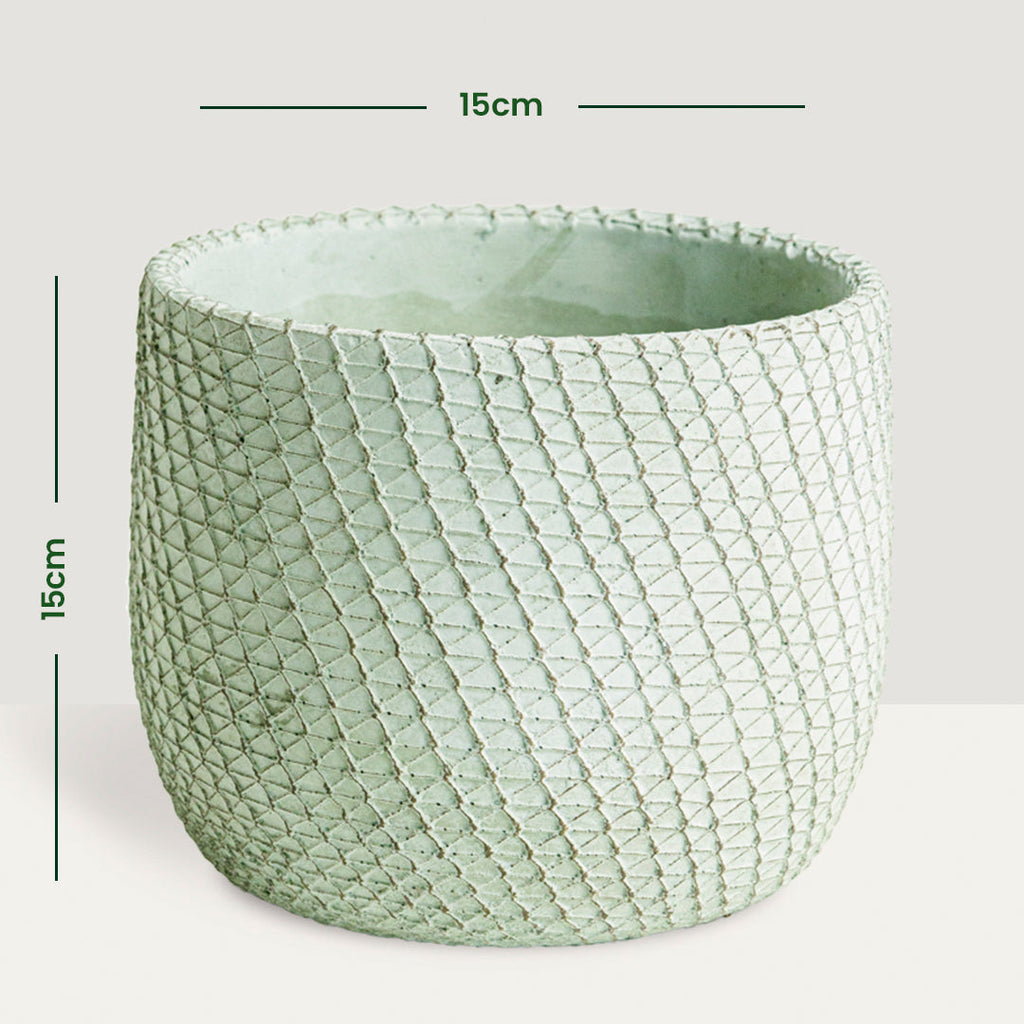 Flower/Plant Pot BG40257 Flora Queen Flora Queen