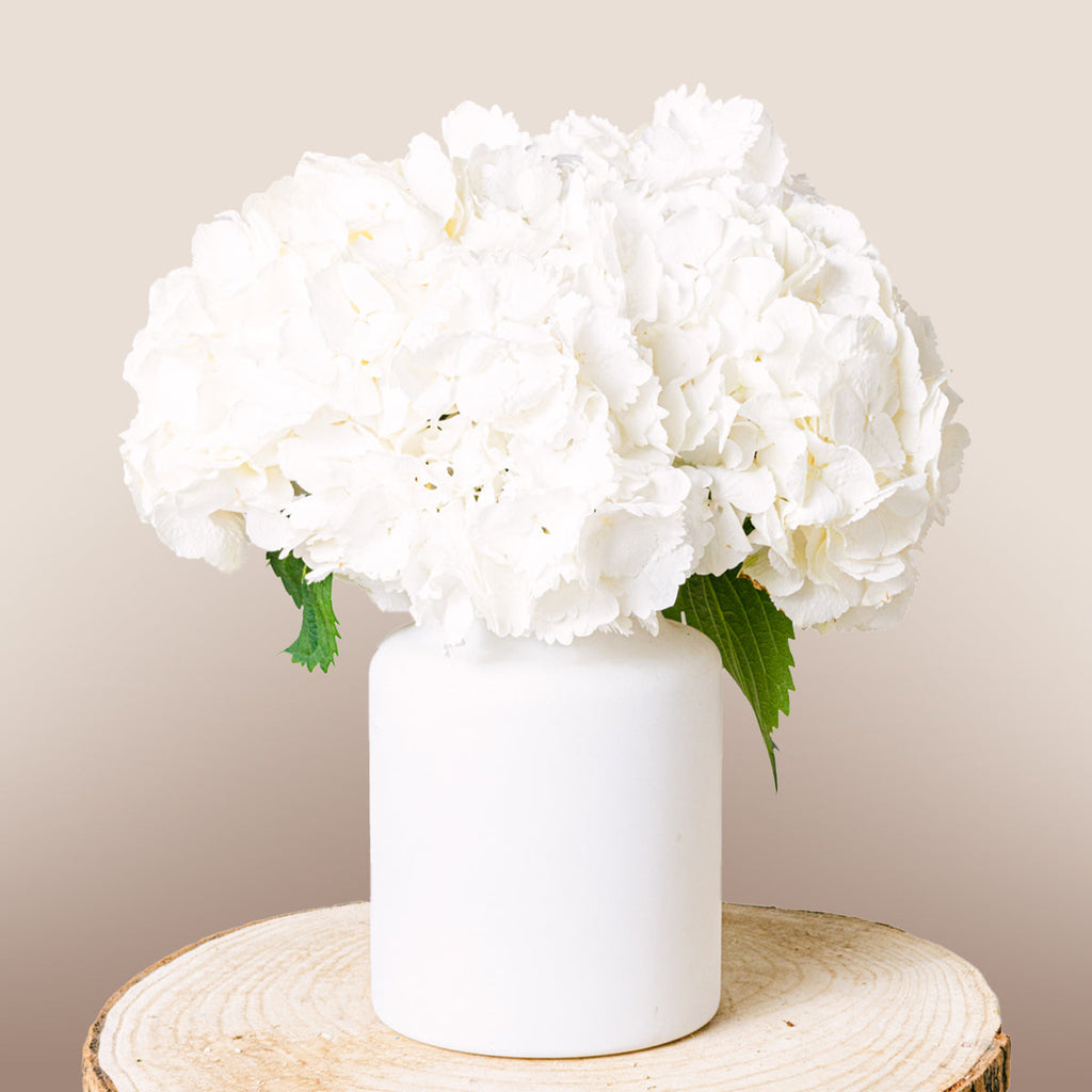 Graceful Winter Flora Queen Flora Queen