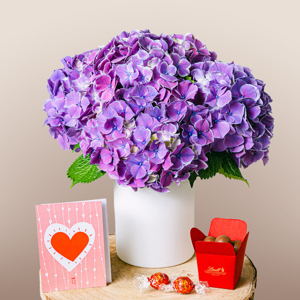 Magic Garden Flora Queen Flora Queen