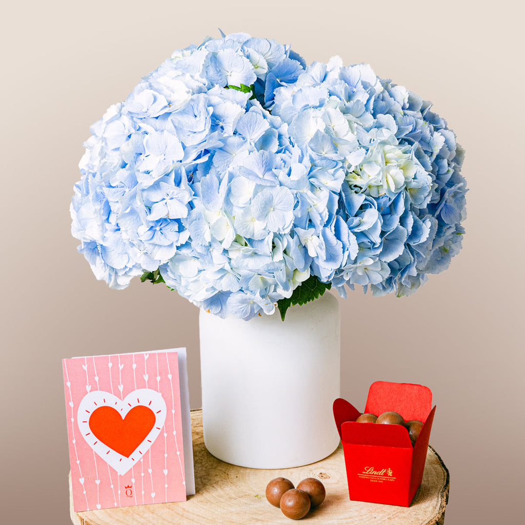 Soulful Eyes Flora Queen Flora Queen