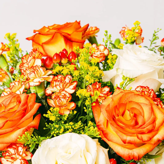 Rose Blooming Flora Queen