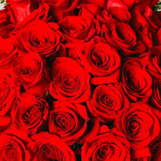 Eternal Love Flora Queen
