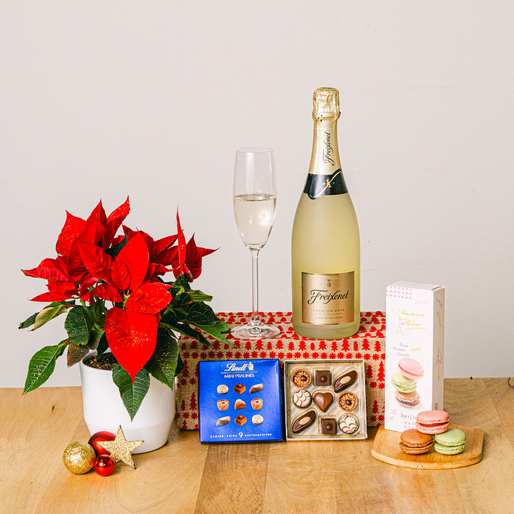 Starry Night Flora Queen Flora Queen