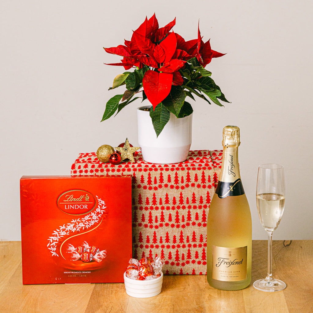 Holiday Spirit Flora Queen Flora Queen