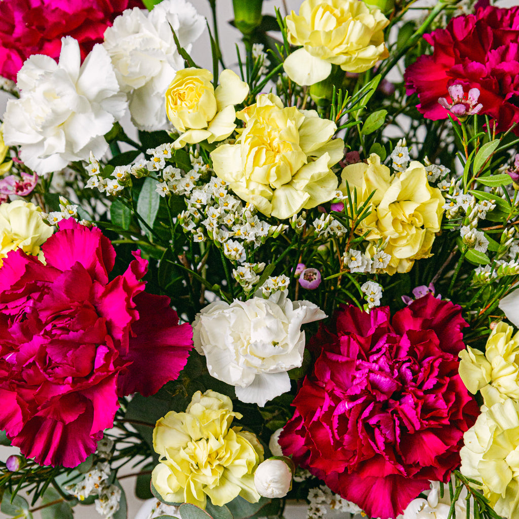 Violet Party Flora Queen Flora Queen