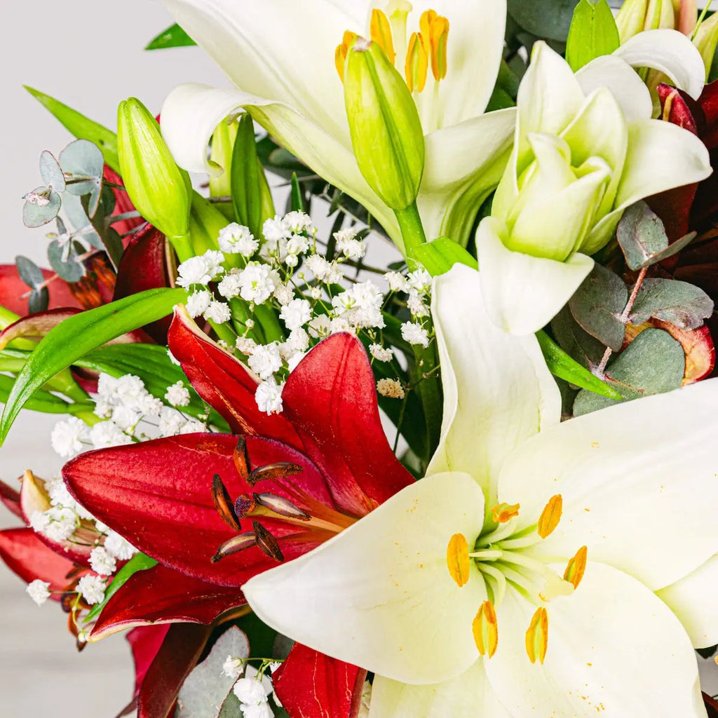 Melody of Love Flora Queen