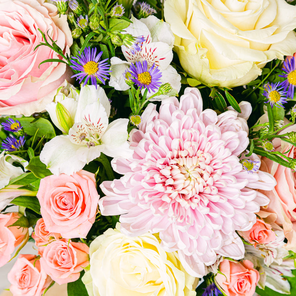 Infinite Strength Flora Queen Flora Queen