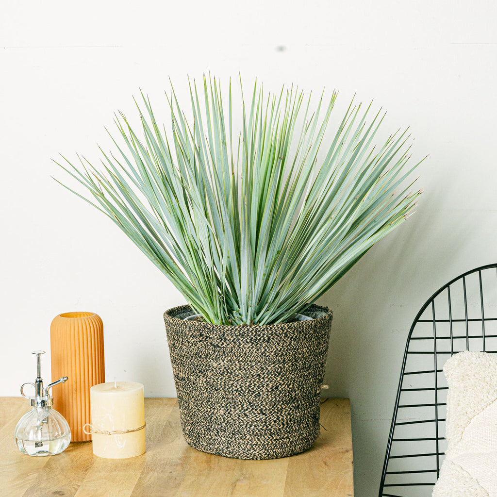 Selin Basket - XL/30cm Flora Queen Flora Queen