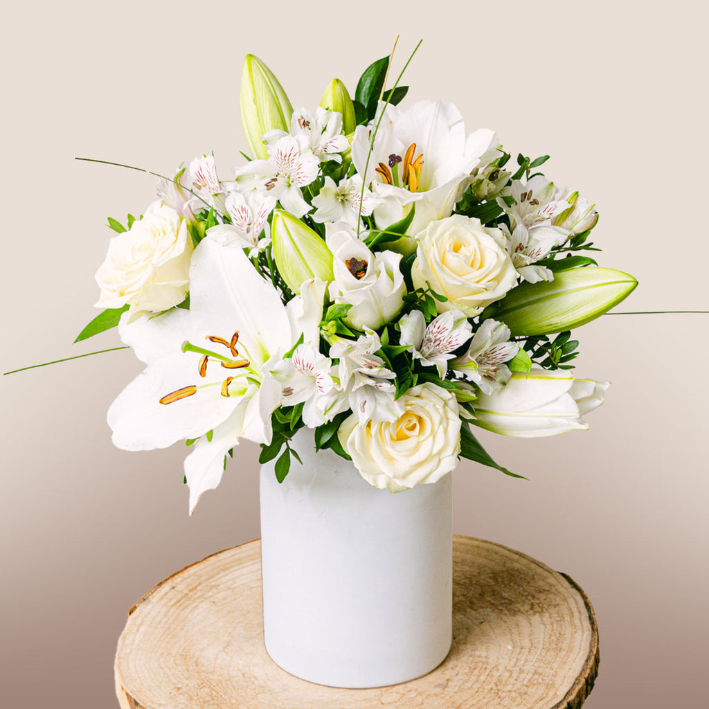 Luminous Charm Flora Queen Flora Queen