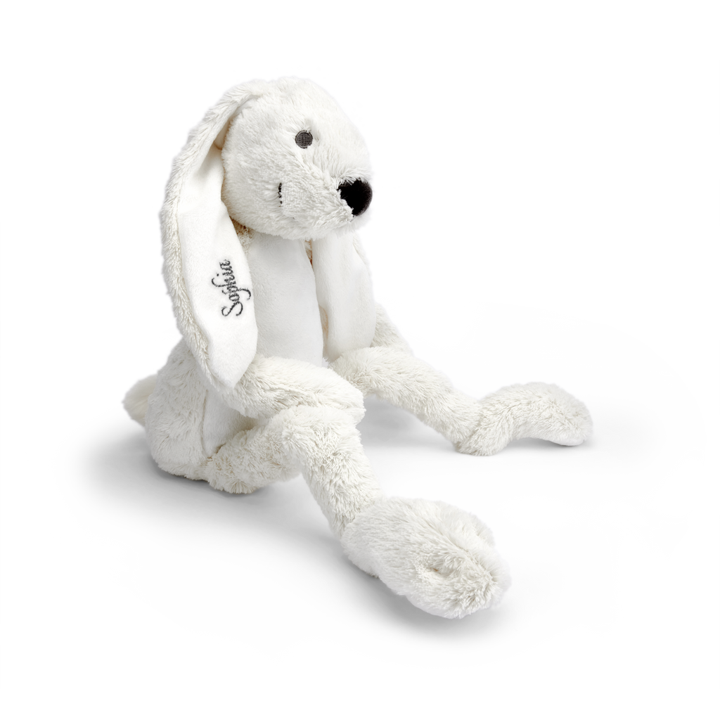 9a1f31bad64de51ebb48eac84ef2745d