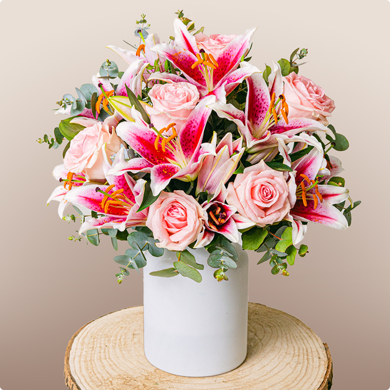 Pink Harmony (Test) Flora Queen Flora Queen