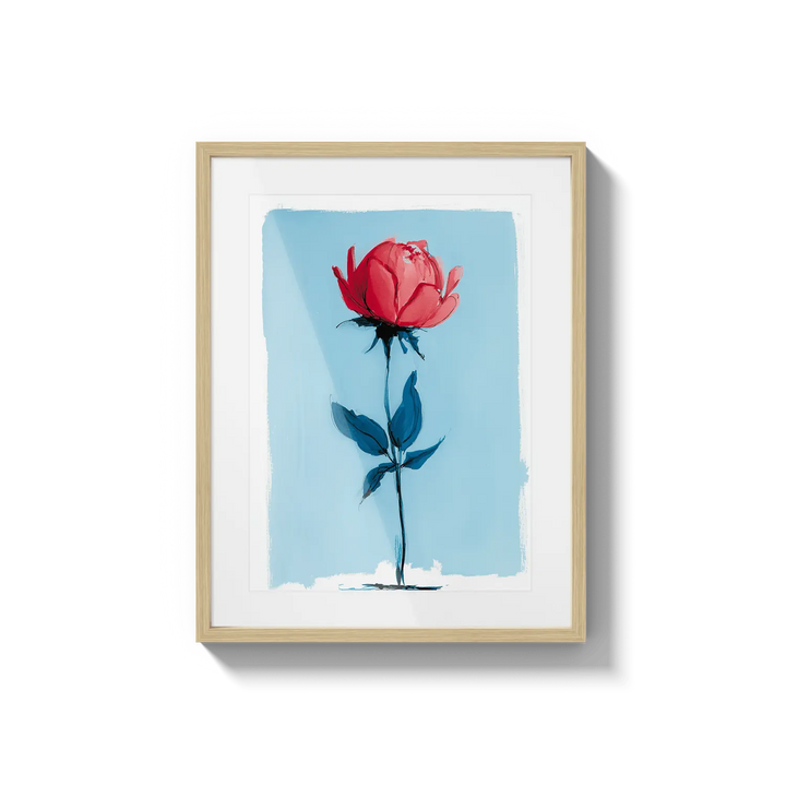 Single Rose Bloom Flora Queen Flora Queen