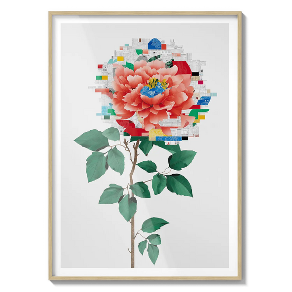 Rose Collage Flora Queen Flora Queen