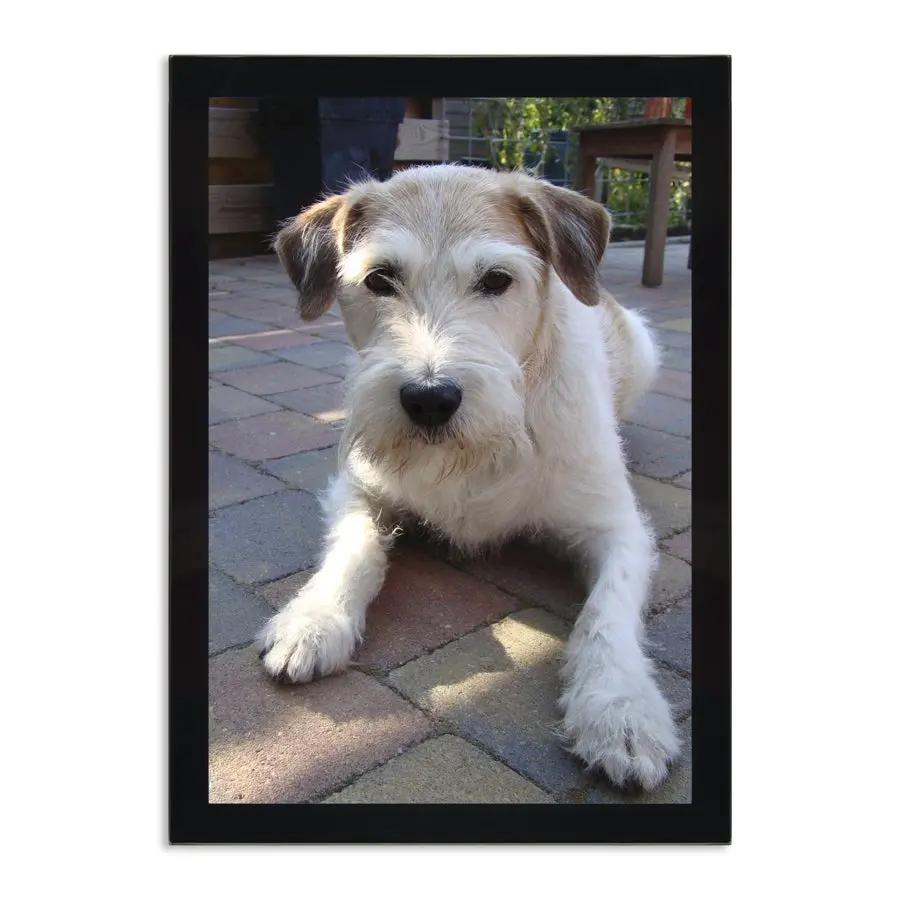 cdb5c6afb59c0a275b486af0907995c2