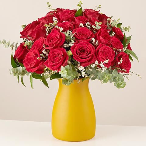 Cálido abrazo: 24 Rosas Rojas